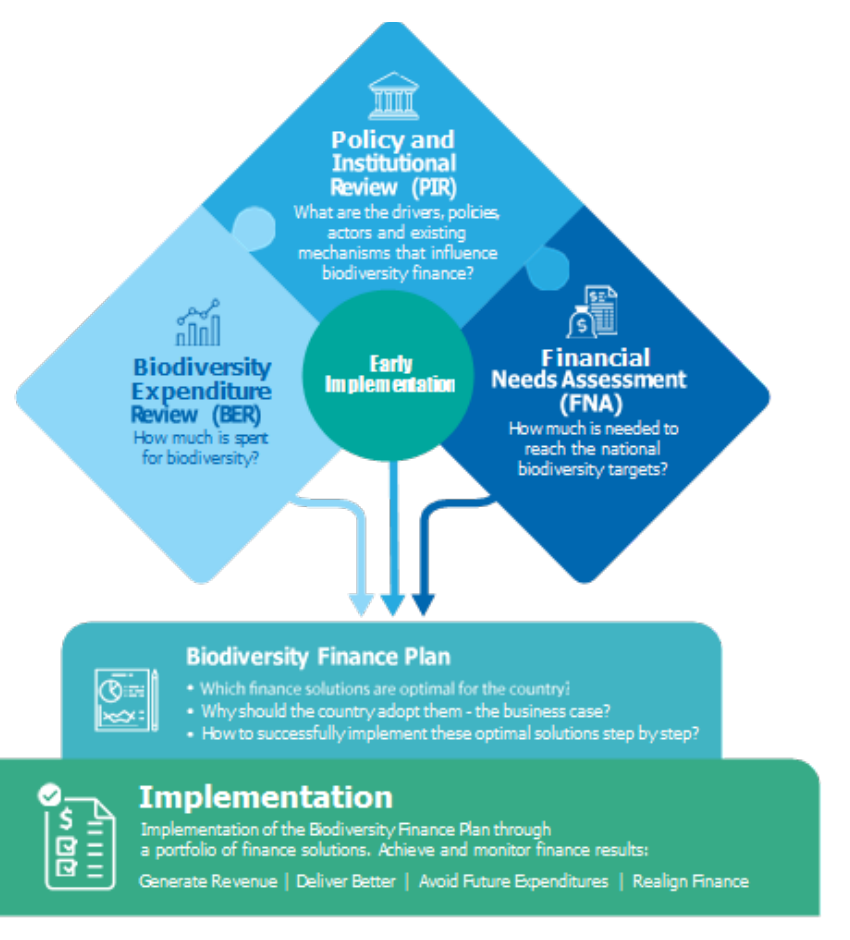Diagram of the BIOFIN steps: PIR, BER and FNA feeding into early implementation, then the Biodiversity Finance Plan, then Implementation.