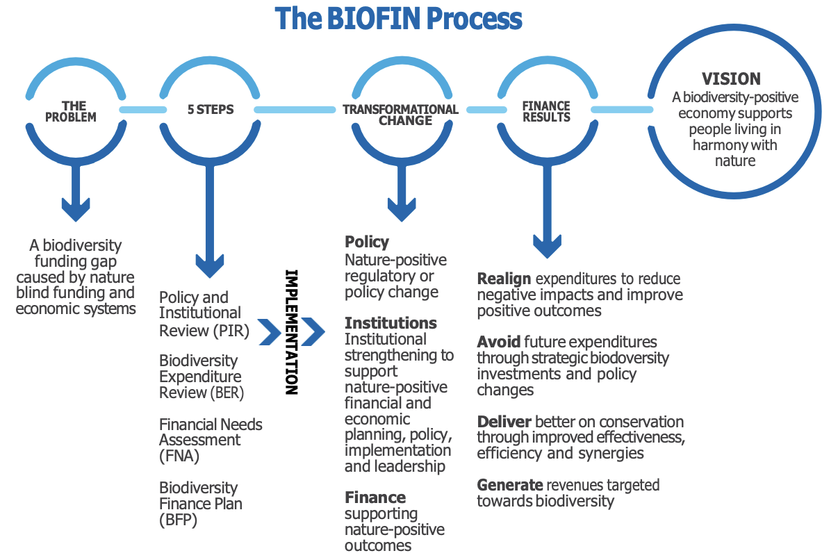 Diagram of the BIOFIN process running from the problem, through the five steps and transformational change, to finance results and the vision.