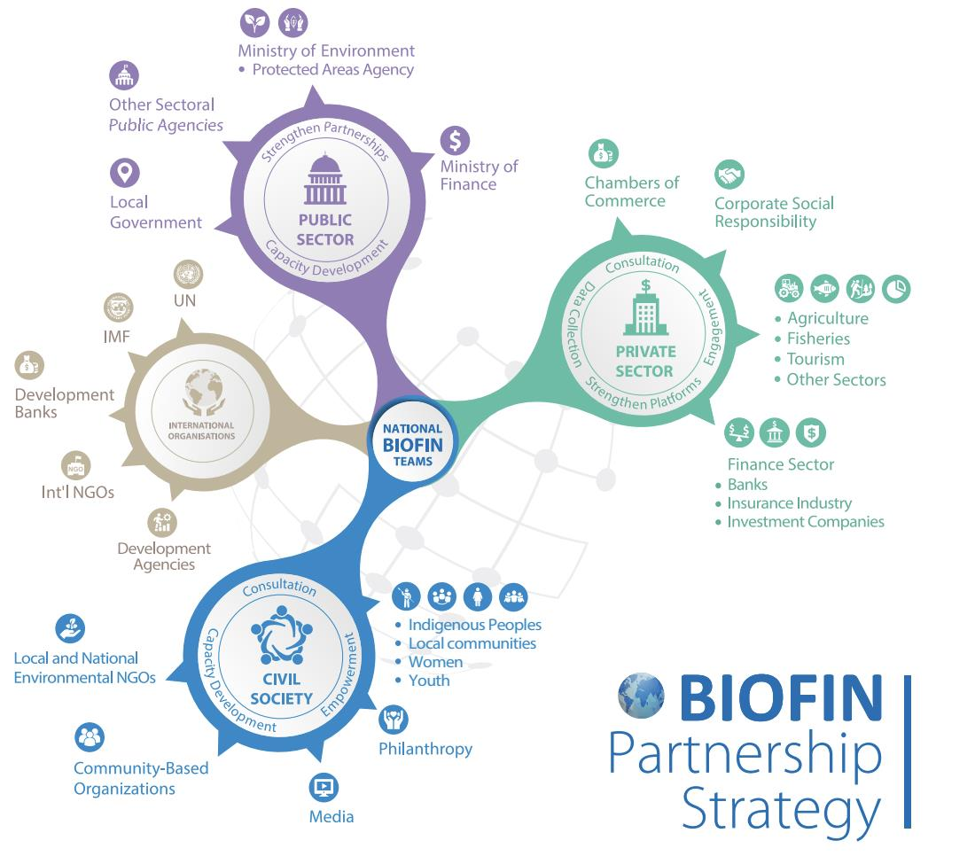 BIOFIN Partnership Strategy diagram showing national BIOFIN teams connected to the public sector, private sector, civil society and international organizations.
