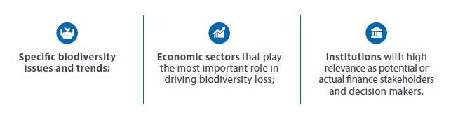 Three factors countries may emphasize during the PIR: specific biodiversity issues and trends; economic sectors driving biodiversity loss; and institutions with high relevance as finance stakeholders and decision makers.