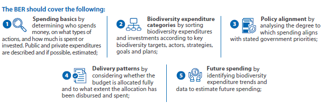 Qué debe abarcar el BER: bases del gasto, categorías de gasto en biodiversidad, alineación de políticas, patrones de ejecución y gasto futuro.