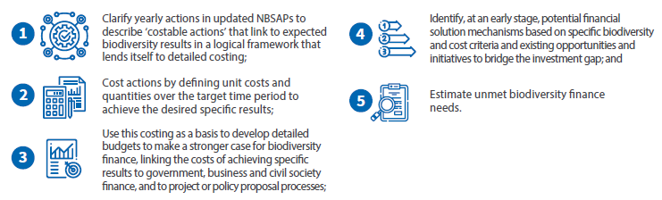 The five aims of the FNA: clarify costable actions in NBSAPs; cost actions by defining unit costs and quantities; develop detailed budgets; identify potential financial solution mechanisms; and estimate unmet biodiversity finance needs.