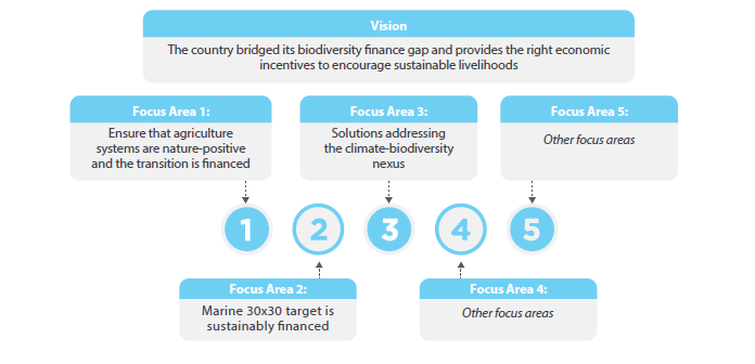 Example of a BFP vision with five focus areas, including nature-positive agriculture systems, a sustainably financed marine 30x30 target, and solutions addressing the climate-biodiversity nexus.