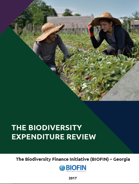The Biodiversity Expenditure Review (BER)