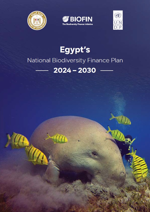 Egypt’s Biodiversity Finance Plan (BFP) 2024–2030