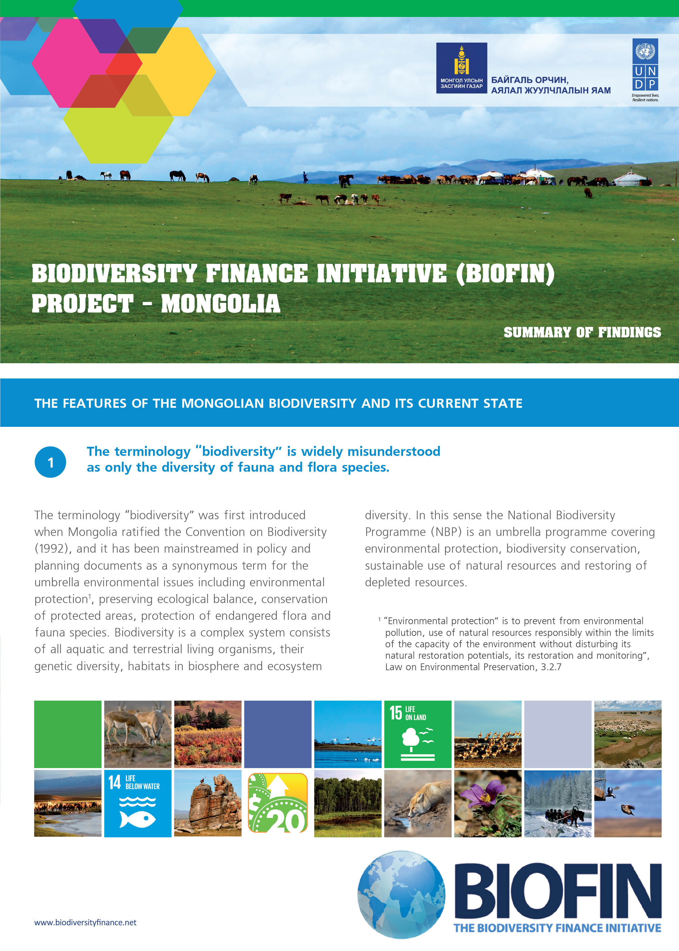 Mongolia BIOFIN Preliminary Findings