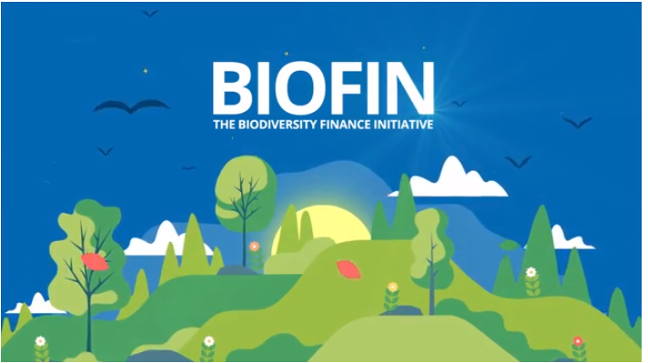 BIOFIN Philippines Video