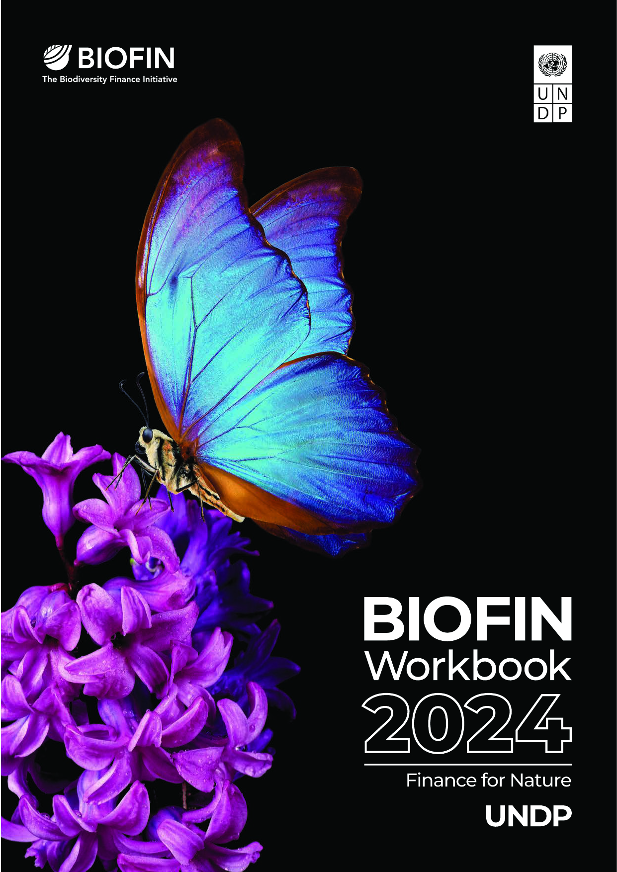 BIOFIN 2024 Workbook