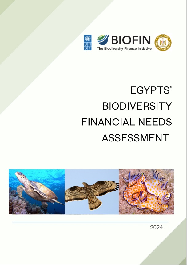 Egypt’s Financial Needs Assessment (FNA) 