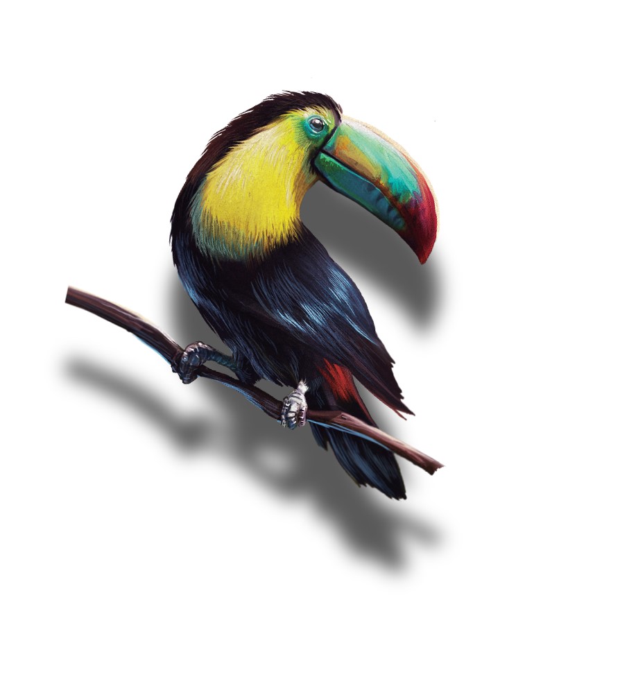 Tucan