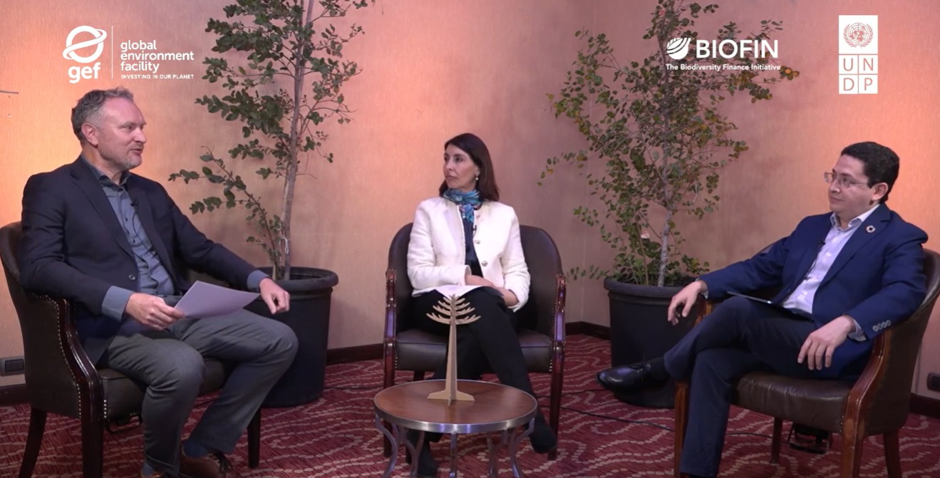 The future of biodiversity finance in an era of global uncertainty