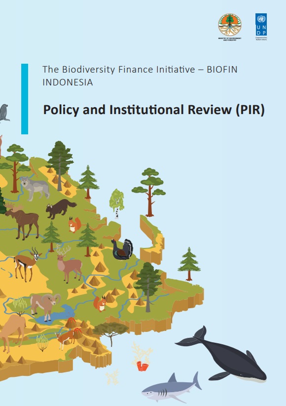 Indonesia's Policy and Institutional Review (PIR)