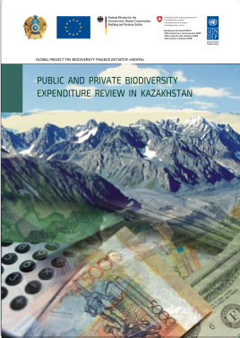 BER Kazakhstan cover
