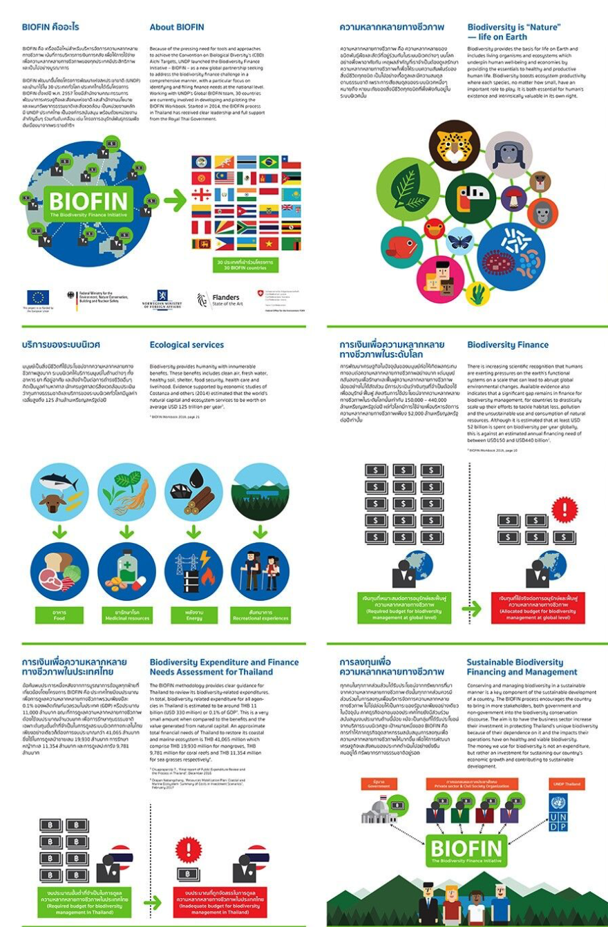 BIOFIN Day Poster