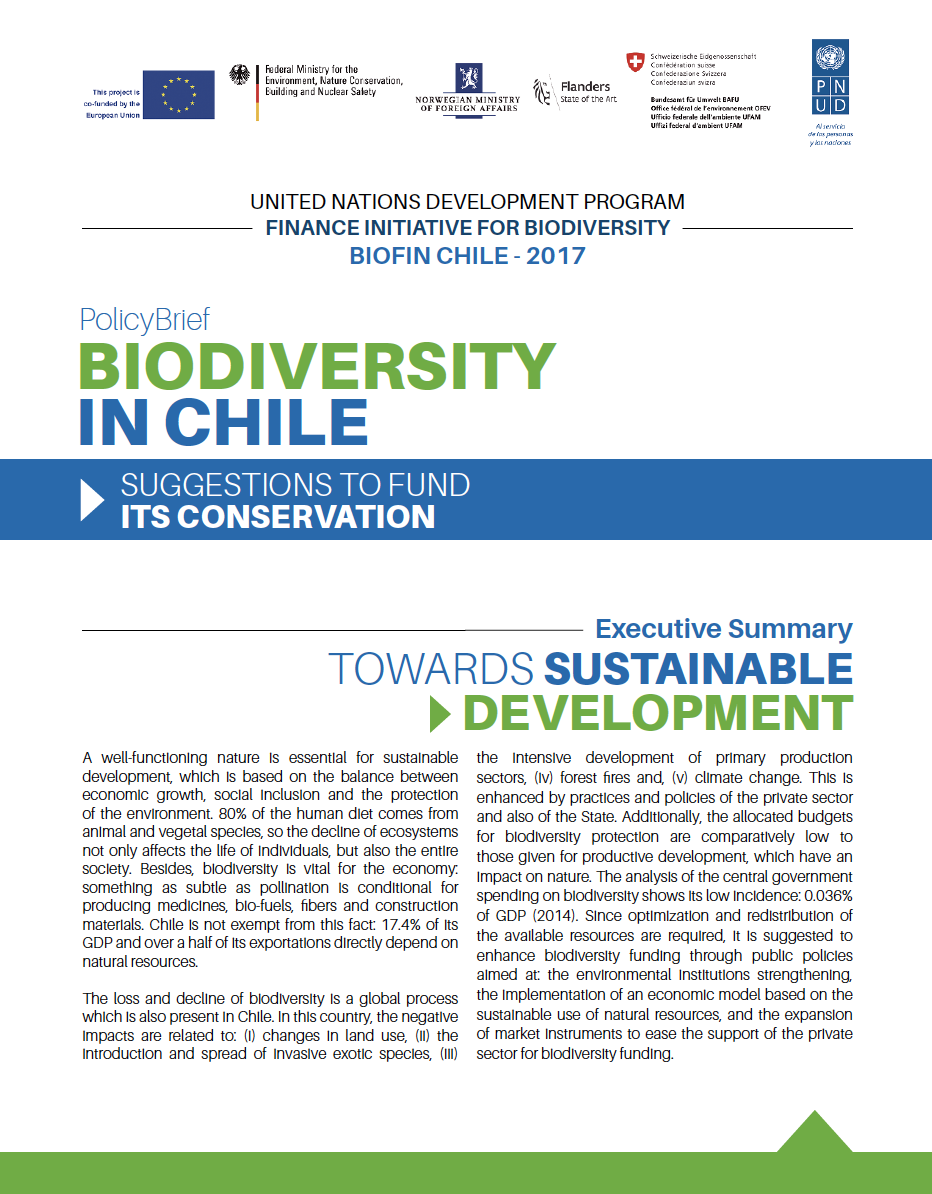 policy brief Chile