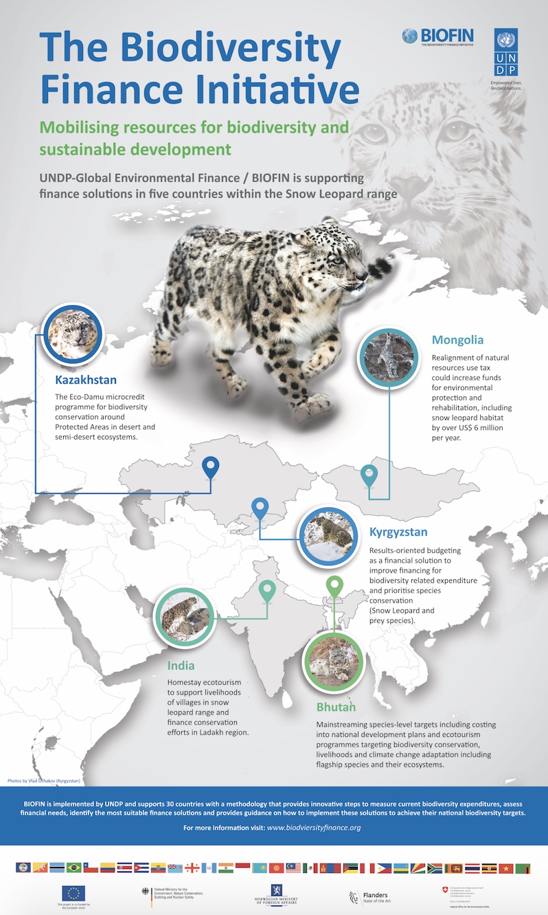 snow leopard poster