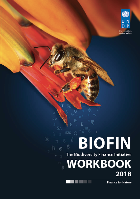 workbook