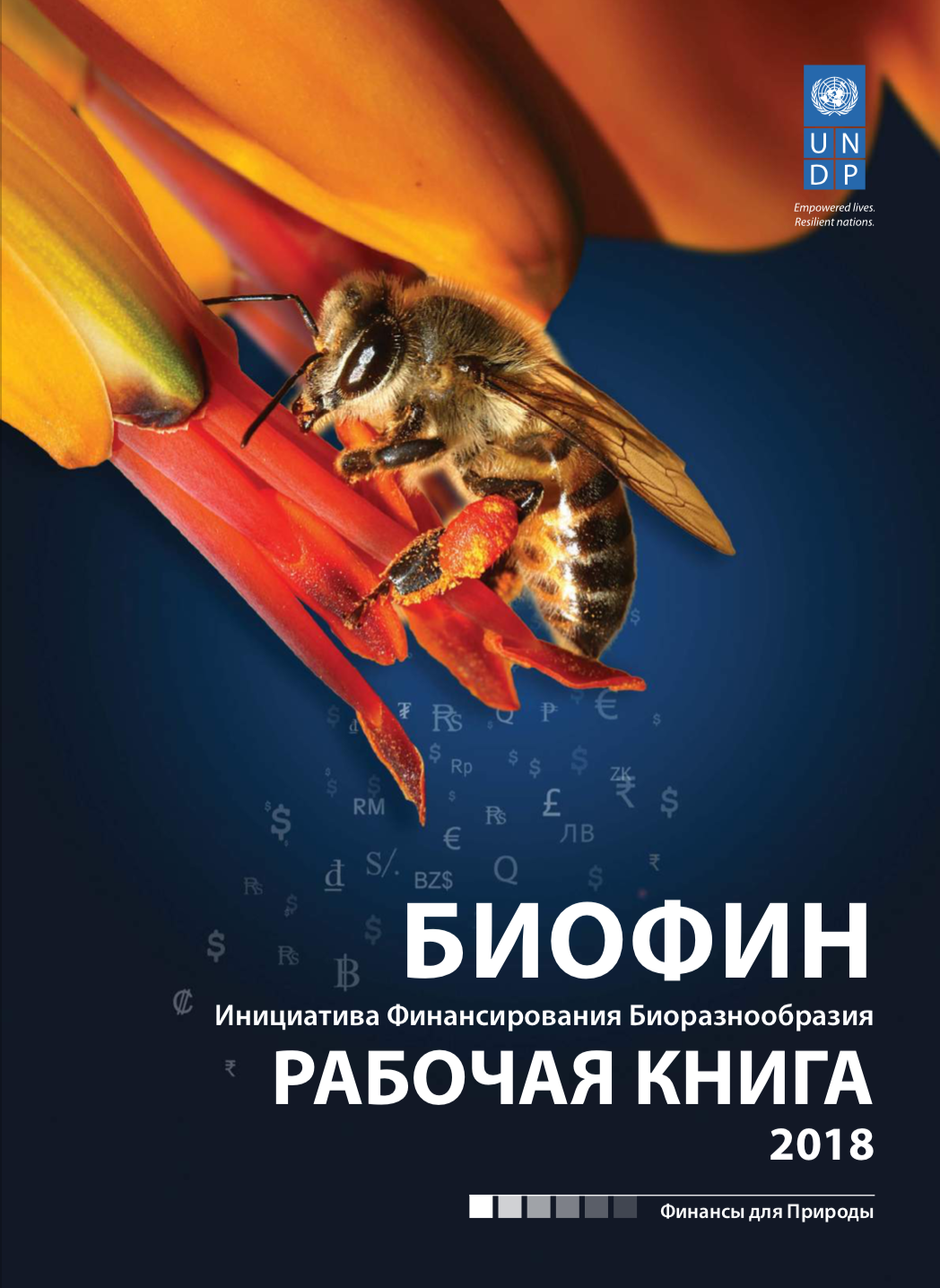 Russian workbook 2018