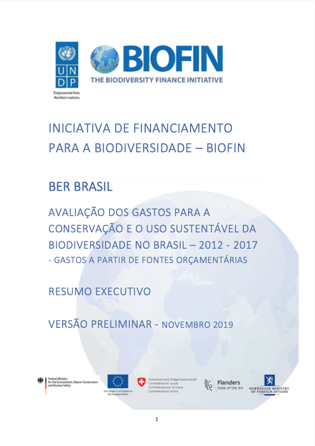 Avaliação dos gastos para a conservação e o uso sustentável da biodiversidade no Brasil – 2012 a 2017: gastos a partir de fontes orçamentários - Resumo executivo