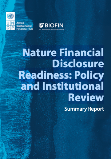 Nature Financial Disclosure Readiness: Policy and Institutional Review in South Africa