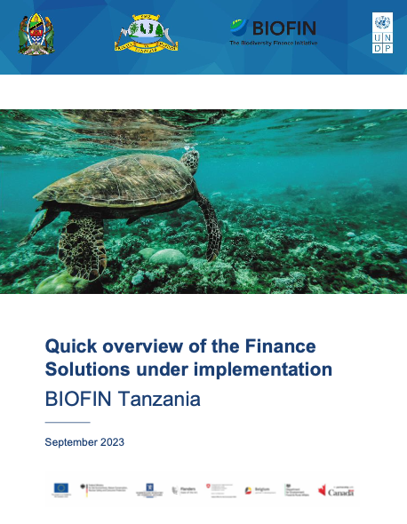 Quick overview of the Finance Solutions under implementation