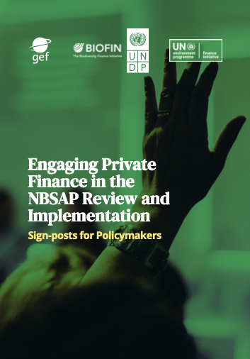 Engaging Private Finance in the NBSAP Review and Implementation: Sign Posts for Policymakers