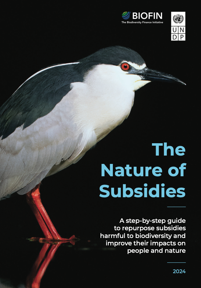 The Nature of Subsidies