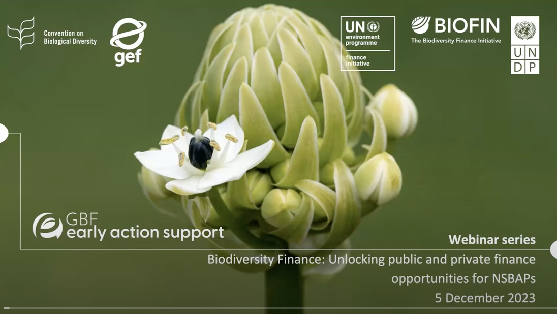 BIOFIN-UNEP FI Webinar “Biodiversity Finance: Exploring public and private finance opportunities for NSBAPs”