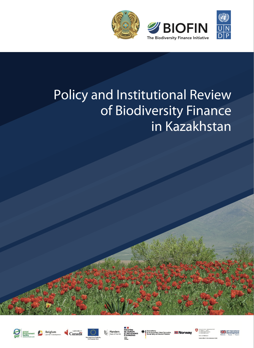 Policy and Institutional Review, Kazakhstan 2025