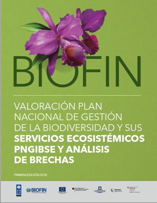 El plan de acción consolidado del 2017 al 2030 se estima en USD 6,2 billones, se destaca que el 85,9% de la inversión se concentra en el eje 1. Biodiversidad, conservación y cuidado de la naturaleza