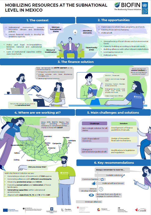 Mobilizing Resources at the Subnational Level in Mexico