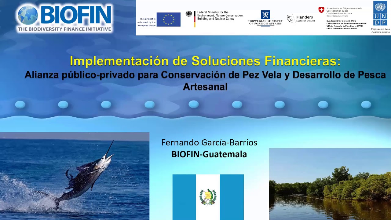  Seminario web: Implementación del plan de financiamiento de la biodiversidad