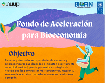 Portada de infografía sobre resumen y resultados del Fondo de Aceleración para Bioeconomía