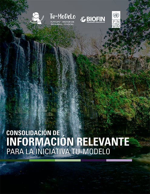 Documento de Trabajo: Consolidación de Información relevante para la Iniciativa Tu-Modelo