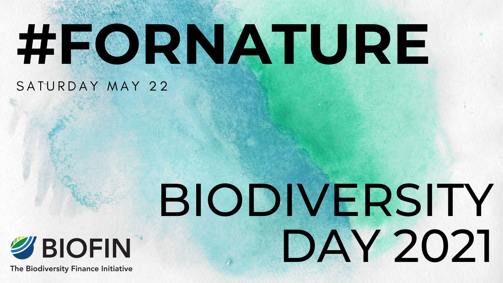 World Biodiversity Day
