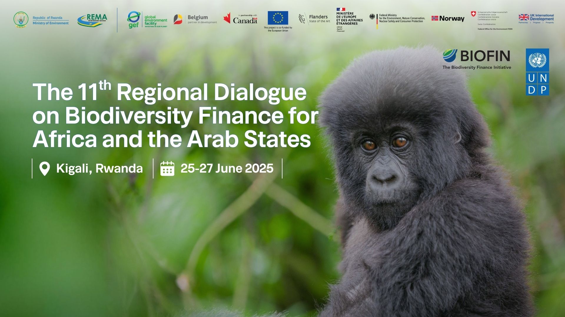 Biodiversity Finance Results from Africa
