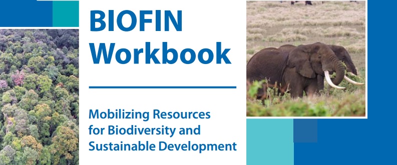 BIOFIN workbook