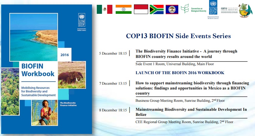 BIOFIN COP13