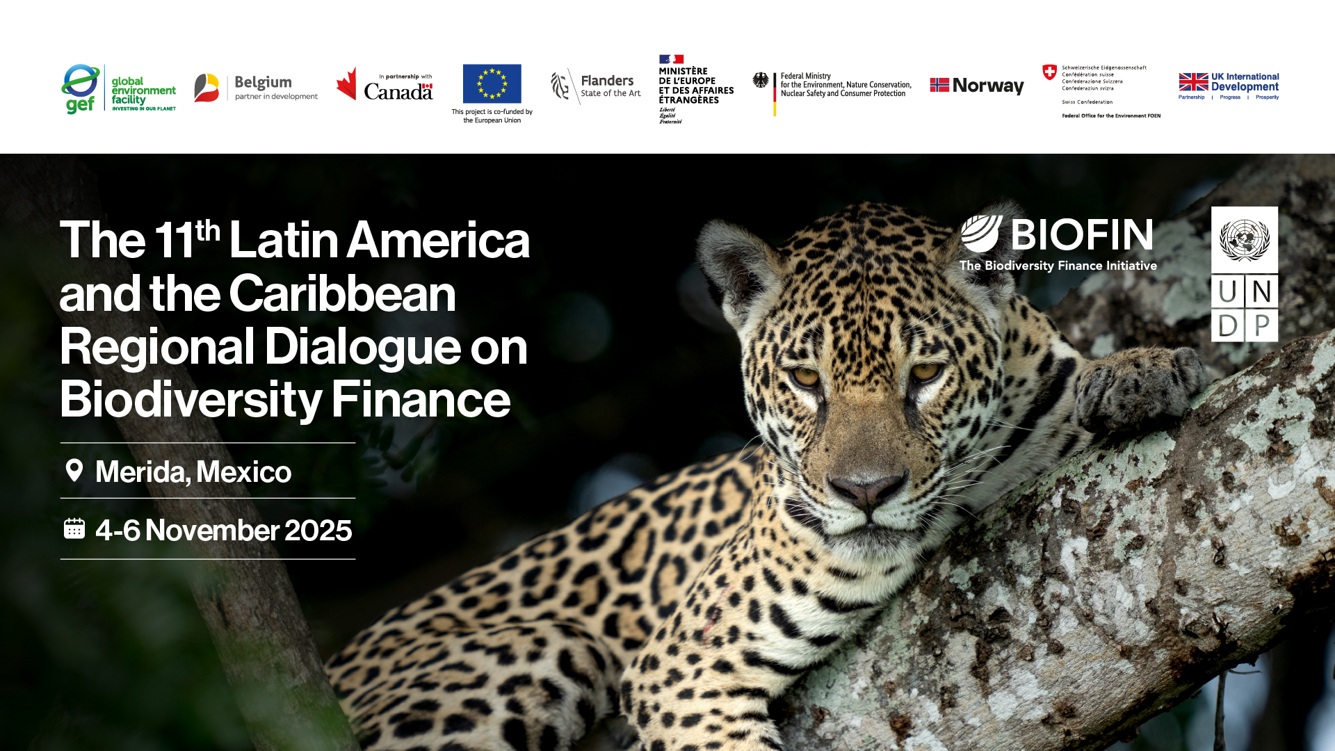 LAC Regional Dialogue