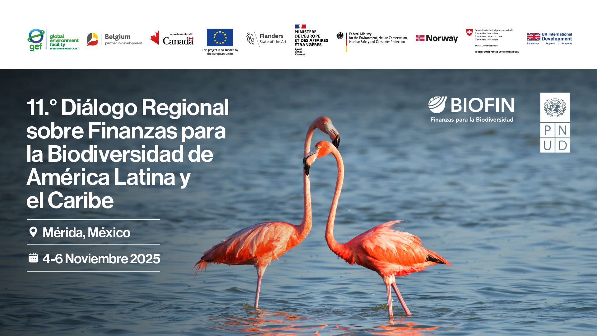 11th LAC Regional Dialogue on Biodiversity Finance 