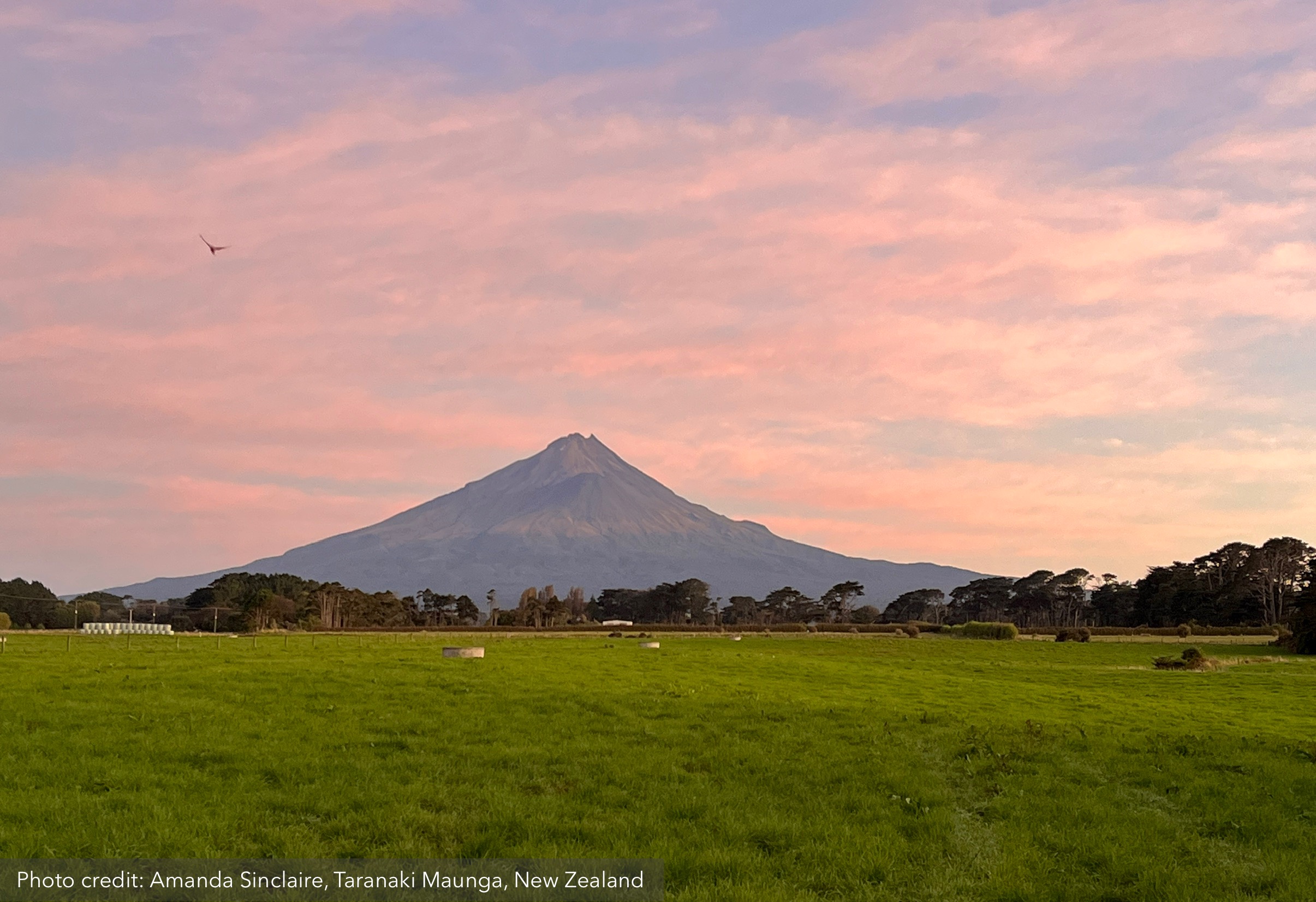 New Zealand