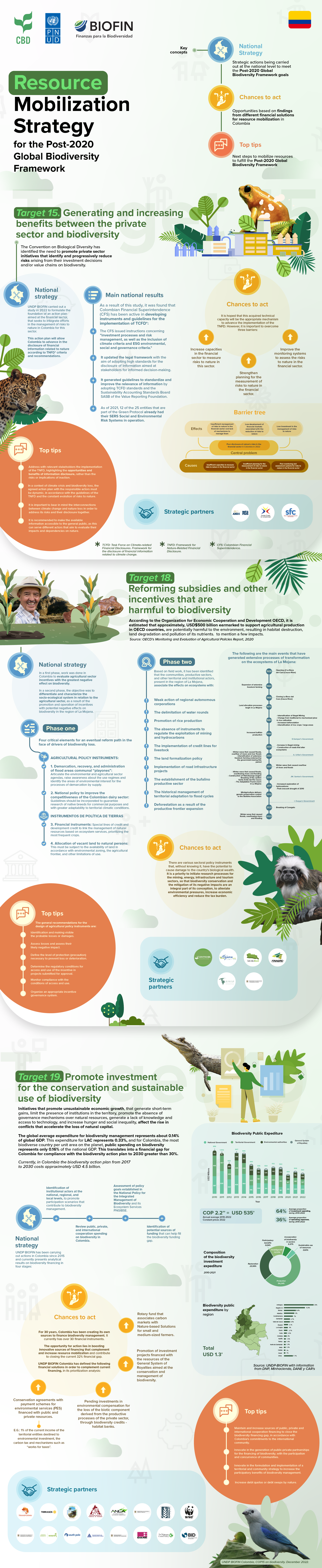 Resource mobilization strategy for the Post 2020 Global Biodiversity Framework. BIOFIN in Colombia. Infograph