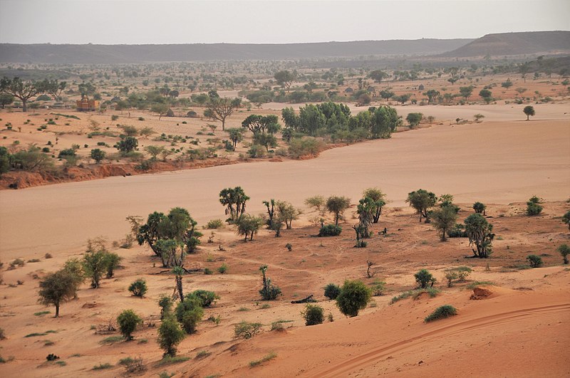 Dunes outside Niamey, the captital