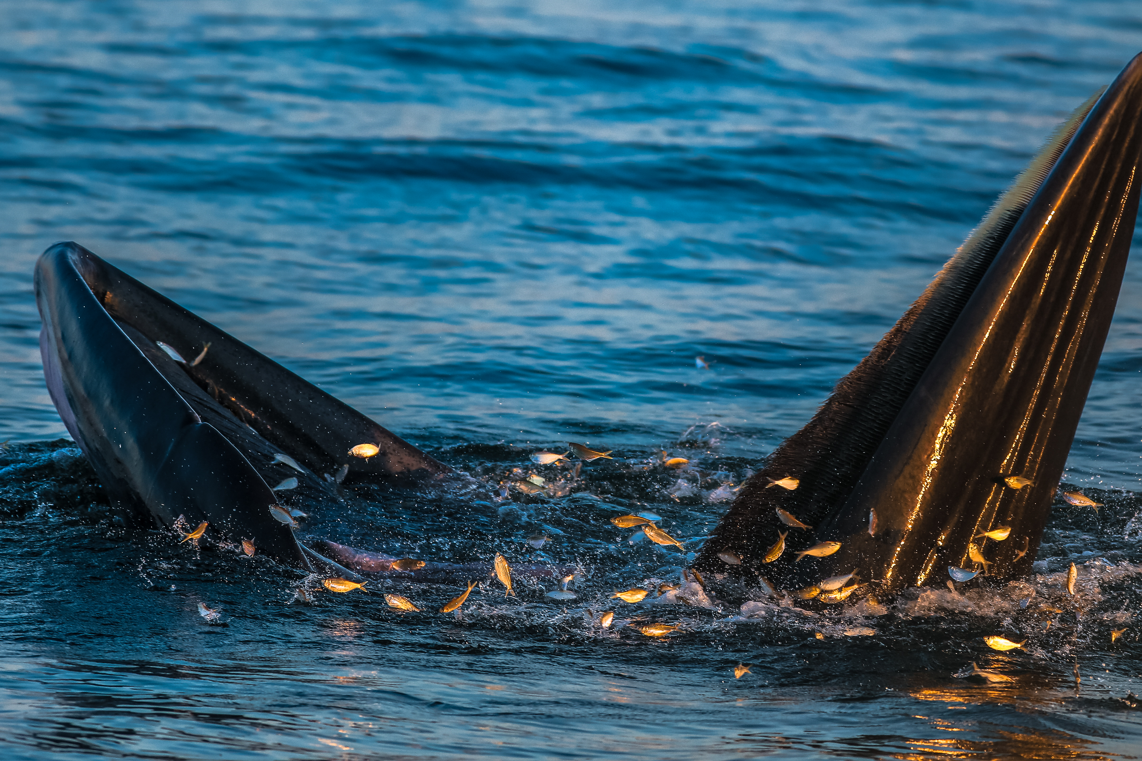 Chitiwat Pornprasert, UNDP Thailand