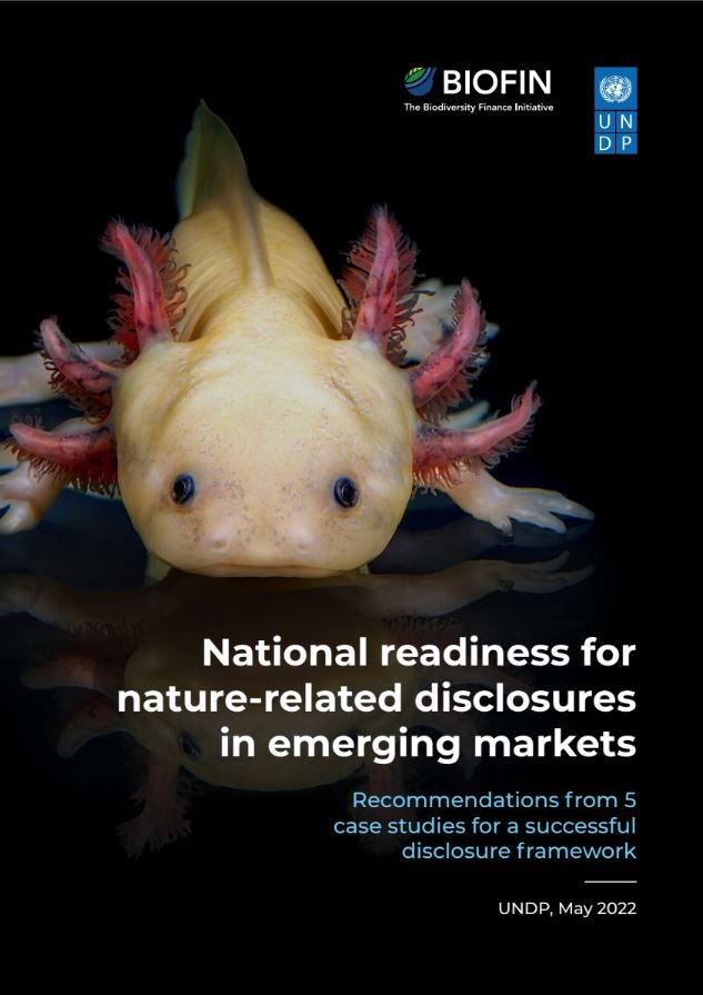 National readiness for nature-related disclosures in emerging markets