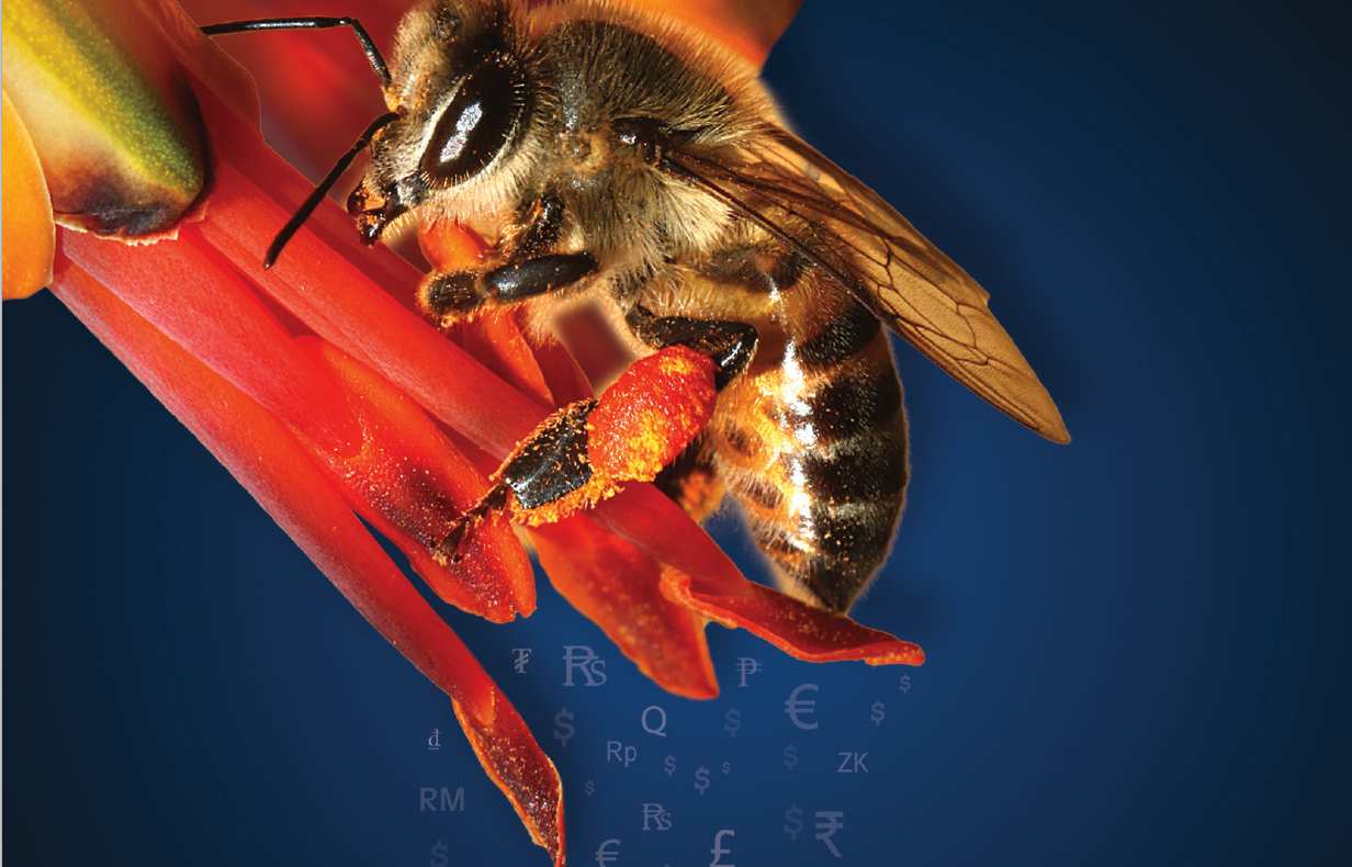 bee workbook