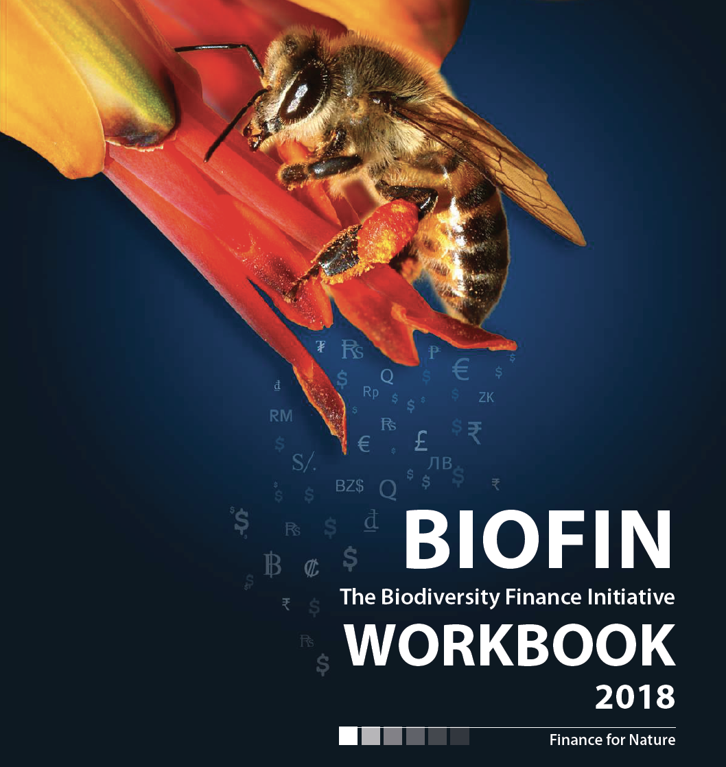 workbook