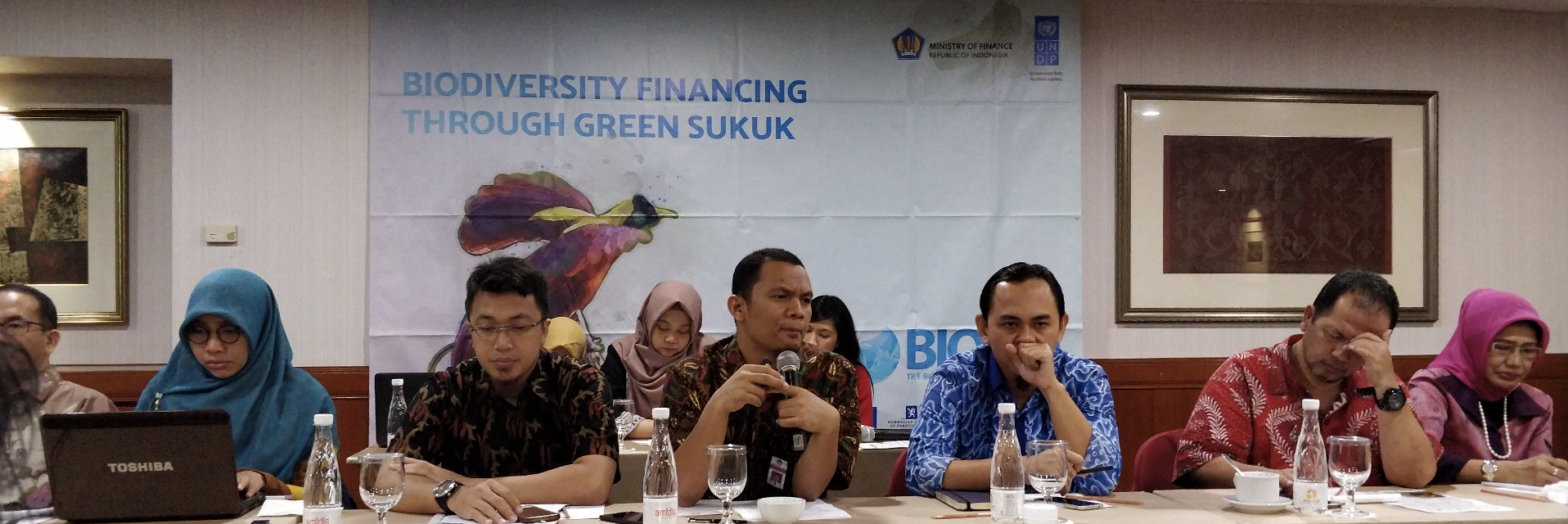 Indonesia green sukuk