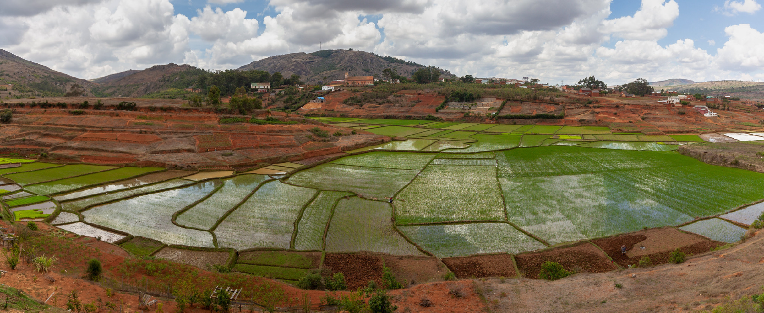 madagascar