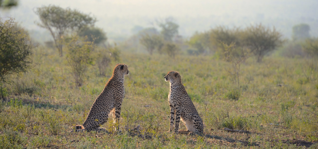 South Africa